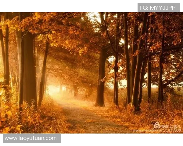 《探索天下足球国际足坛球星卡收藏世界之魅力与价值》